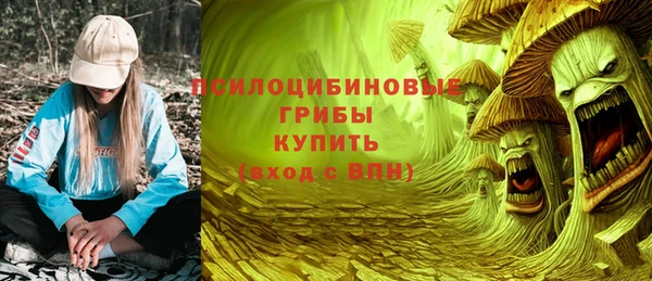 твердый Богородск