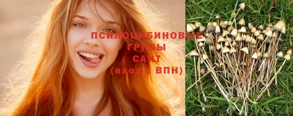 COCAINE Богородицк